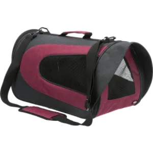 გადამყვანი - Alina