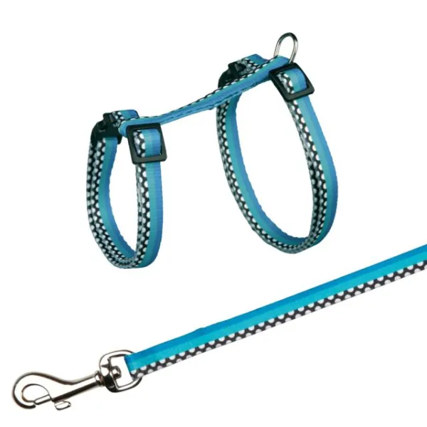 Harness with Leash