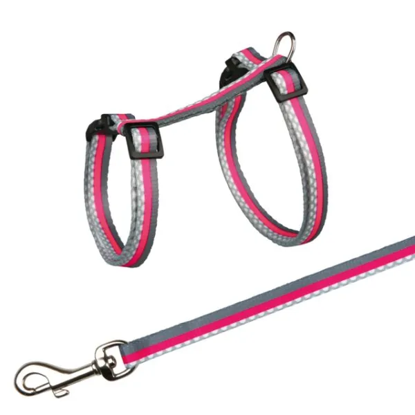 Harness with Leash