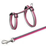 Harness with Leash