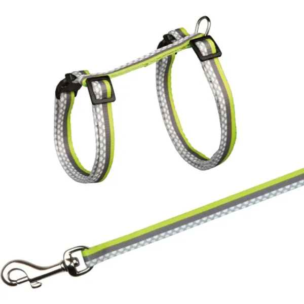 Harness with Leash