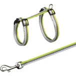 Harness with Leash