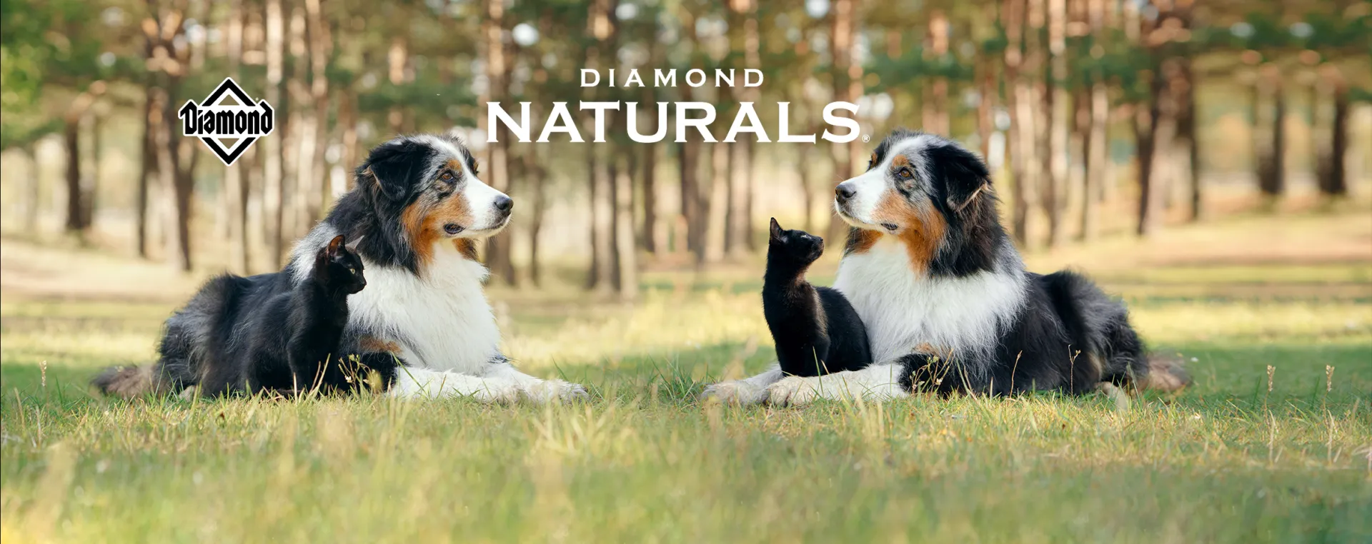 Diamond Naturals