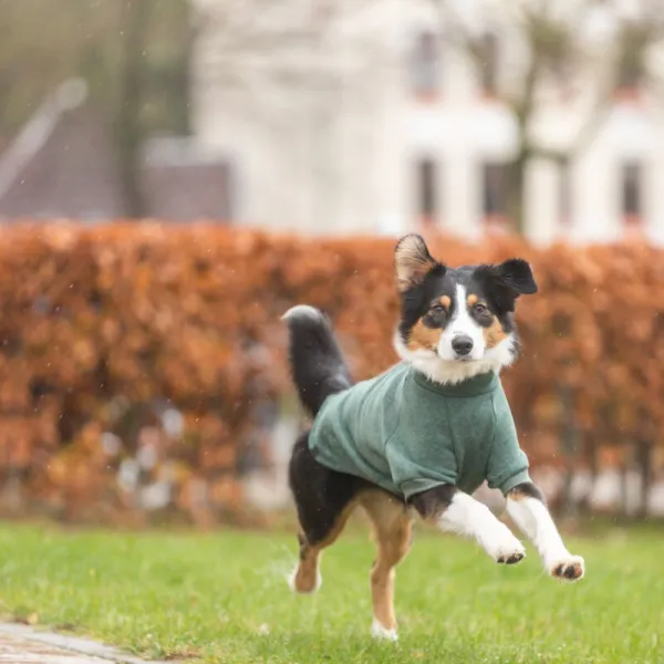 თბილი სვიტერი S / 36სმ