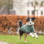 თბილი სვიტერი S / 36სმ