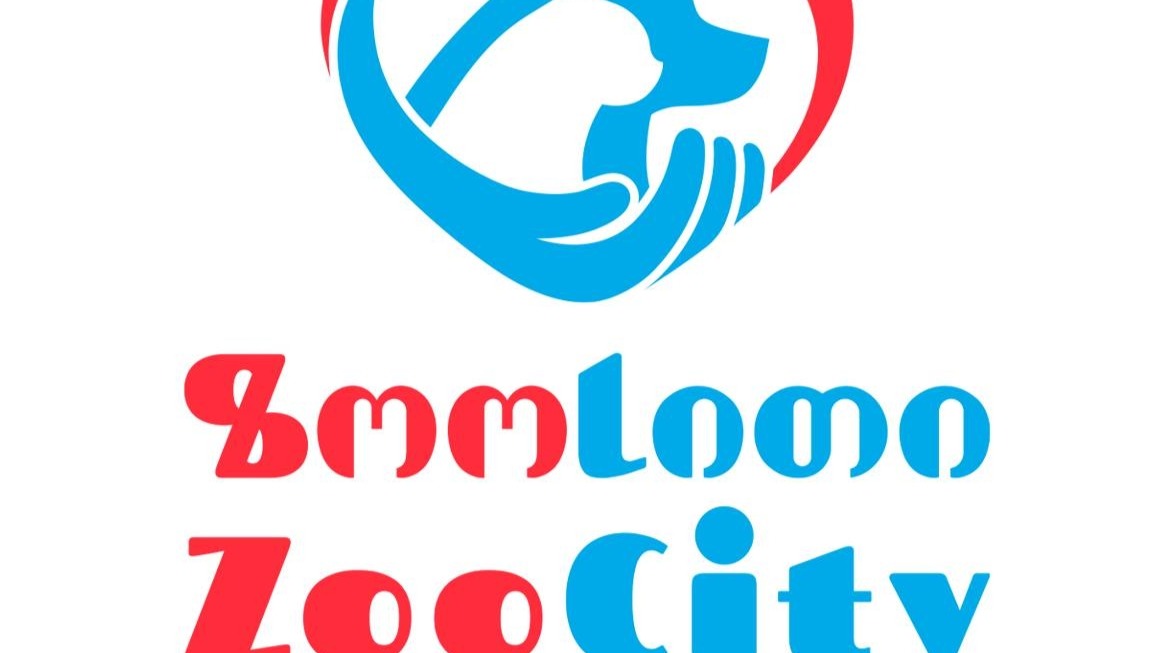 მერაბ კოსტავას ქუჩა N15