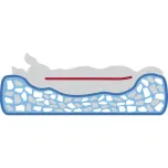 ორთოპედიული საწოლი 60 x 50 სმ 